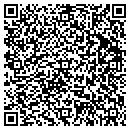 QR code with Carl's Automotive Inc contacts