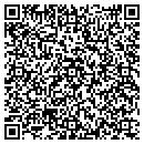 QR code with BLM Electric contacts