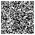 QR code with AVL Co contacts