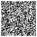 QR code with Practically Art contacts
