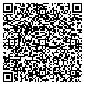 QR code with Lutcf contacts