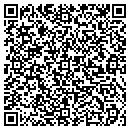 QR code with Public Square Imaging contacts