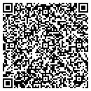 QR code with Practical Systems Inc contacts