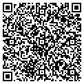 QR code with Curves contacts
