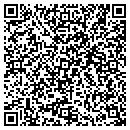 QR code with Public Works contacts