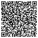 QR code with David P Levin contacts