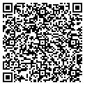 QR code with Pines contacts