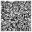 QR code with Cyclics Corp contacts