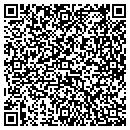 QR code with Chris J Pecchia CPA contacts
