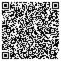 QR code with M T Ny contacts