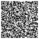 QR code with Pyramid Recording Studio contacts