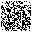 QR code with Procida Tile contacts
