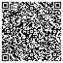 QR code with Clean King Of Broome contacts