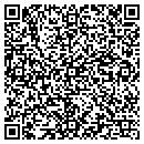 QR code with Prcision Excavation contacts