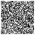QR code with Brio Tours & Travel contacts