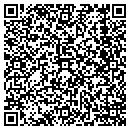 QR code with Cairo Well Drillers contacts