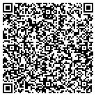 QR code with Public Interest Telecom contacts
