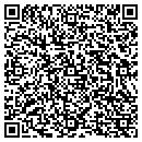 QR code with Production Solution contacts