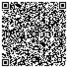 QR code with Professional Tire & Auto contacts
