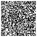 QR code with Public Abstract Corp contacts
