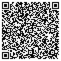 QR code with Signtech contacts