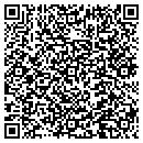 QR code with Cobra Systems Inc contacts