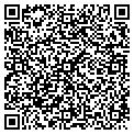 QR code with Fava contacts