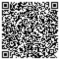 QR code with New Millenium Auto contacts