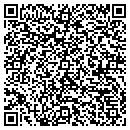 QR code with Cyber Consulting Inc contacts