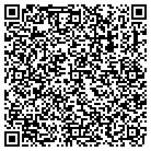 QR code with Pulse Business Systems contacts