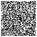 QR code with Public Soft contacts