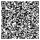 QR code with Pyramid contacts