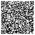 QR code with Y Store contacts