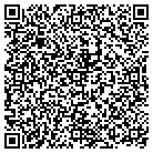 QR code with Pulaski Historical Society contacts
