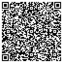 QR code with Cincinnatus Main Office contacts