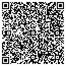 QR code with Chemipulp Process Inc contacts