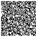 QR code with Cairo Water Department contacts