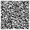 QR code with Pulaski Wine & Spirits contacts