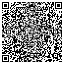 QR code with Chemung Fire Station contacts