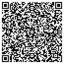 QR code with Pulaski Exchange contacts
