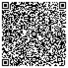 QR code with Public Electrical Supply contacts