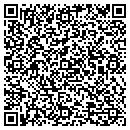 QR code with Borrelli Service Co contacts