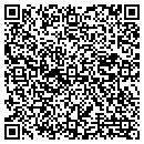 QR code with Propeller Works Inc contacts