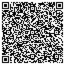 QR code with Cedx Consulting Inc contacts
