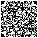 QR code with Carey International Inc contacts