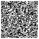 QR code with Public Finance Assoc Inc contacts
