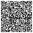 QR code with Professional Sealing contacts