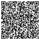 QR code with Craig I Aronson DDS contacts