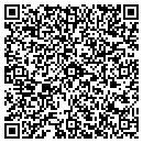 QR code with PVS Floor Covering contacts