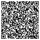 QR code with Cognisa Security contacts